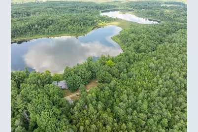 730 W Evergreen Road, Sidney, MI 48885 - Photo 29
