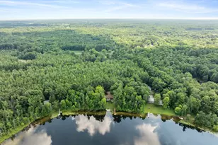 730 W Evergreen Rd, Sidney, MI 48885 - Photo 37