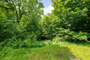 11218 N River Rd, Constantine, MI 49042 - Photo 23