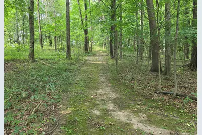 63483 Robbins Lake Road, Jones, MI 49061 - Photo 47