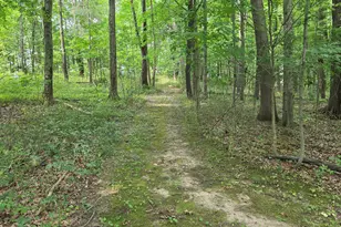 63483 Robbins Lake Rd, Jones, MI 49061 - Photo 47