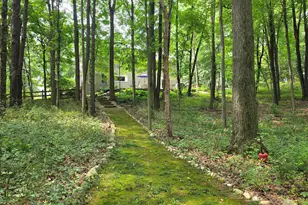 63483 Robbins Lake Rd, Jones, MI 49061 - Photo 43