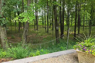 63483 Robbins Lake Rd, Jones, MI 49061 - Photo 41