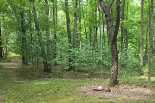 63483 Robbins Lake Rd, Jones, MI 49061 - Photo 45