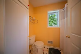 380 Wild Fox Ct, Ann Arbor, MI 48103 - Photo 51