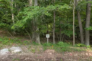 N Silver Ridge Rd, Mears, MI 49436 - Photo 1
