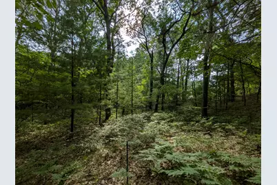 N Silver Ridge Road #Lot 31, Mears, MI 49436 - Photo 5