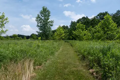 19280 Michigan 60, Homer, MI 49245 - Photo 25