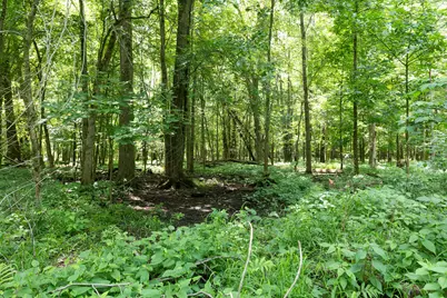 19280 Michigan 60, Homer, MI 49245 - Photo 29