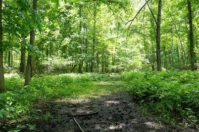 19280 Michigan 60, Homer, MI 49245 - Photo 31