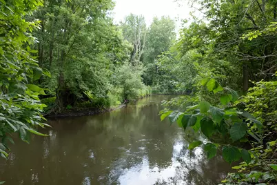 19280 Michigan 60, Homer, MI 49245 - Photo 21