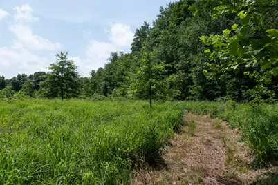 19280 Michigan 60, Homer, MI 49245 - Photo 27