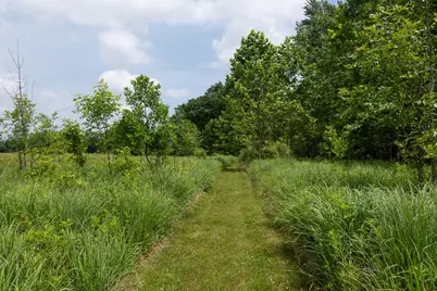 19280 Michigan 60, Homer, MI 49245 - Photo 37