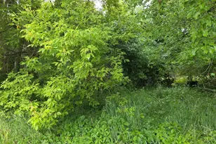 10044 8 Mile Rd, Ceresco, MI 49033 - Photo 19