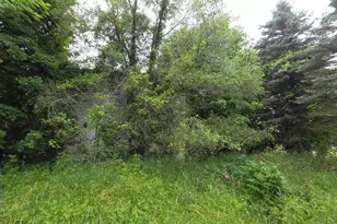 10044 8 Mile Rd, Ceresco, MI 49033 - Photo 15