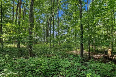 13986 Peninsula Drive, Galesburg, MI 49053 - Photo 5