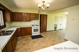 3183 Belding Rd, Orleans, MI 48865 - Photo 3