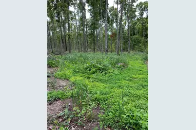 00 Babbit Rd, Frederic, MI 49733 - Photo 21