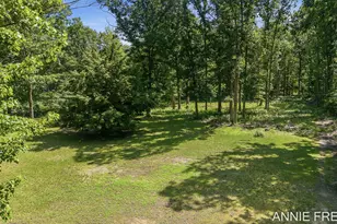 1375 56th St, Fennville, MI 49408 - Photo 59
