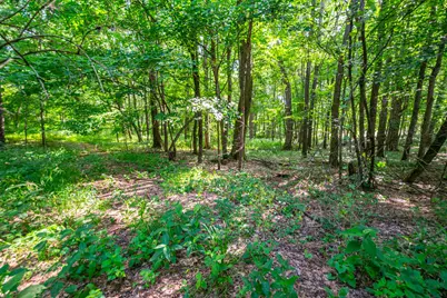 559 W Burr Oak, Athens, MI 49011 - Photo 7
