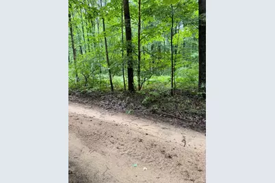 7094 Darlington Lake Road, Hesperia, MI 49421 - Photo 1