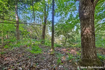 3754 E White River, Hesperia, MI 49421 - Photo 7