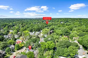 530 W Main St, Northville, MI 48167 - Photo 83