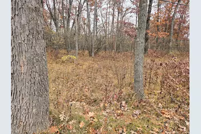 Woodbridge, Bitely, MI 49309 - Photo 1