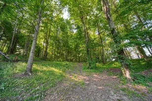 6823 Folks Rd, Horton, MI 49246 - Photo 63