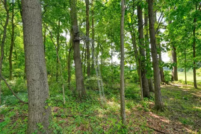 6823 Folks Road, Horton, MI 49246 - Photo 97