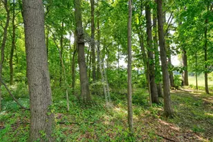 6823 Folks Rd, Horton, MI 49246 - Photo 97
