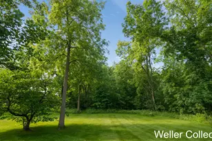 13399 Wing Rd, Bellevue, MI 49021 - Photo 55