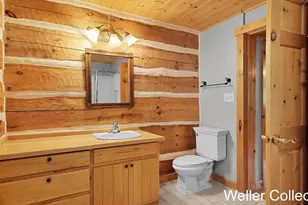 13399 Wing Rd, Bellevue, MI 49021 - Photo 29