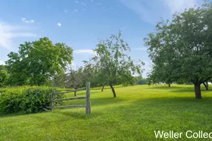 13399 Wing Rd, Bellevue, MI 49021 - Photo 63