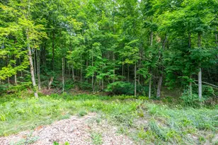 412 63rd St, South Haven, MI 49090 - Photo 5