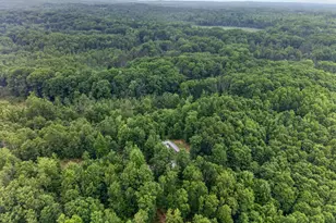 0 S 47 3/4 Rd, Cadillac, MI 49601 - Photo 27