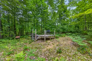 0 S 47 3/4 Rd, Cadillac, MI 49601 - Photo 17