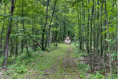 0 S 47 3/4 Road, Cadillac, MI 49601 - Photo 19
