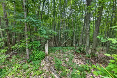 0 S 47 3/4 Road, Cadillac, MI 49601 - Photo 21