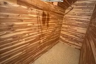 907 Bruce St, Ann Arbor, MI 48103 - Photo 11