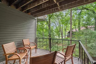 815 Green Rd, Ann Arbor, MI 48105 - Photo 69