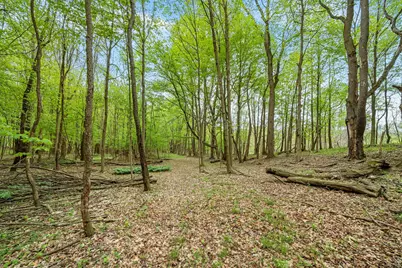 18731 Williamsville Street, Cassopolis, MI 49031 - Photo 15