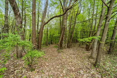 18731 Williamsville Street, Cassopolis, MI 49031 - Photo 41