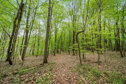 18731 Williamsville Street, Cassopolis, MI 49031 - Photo 37