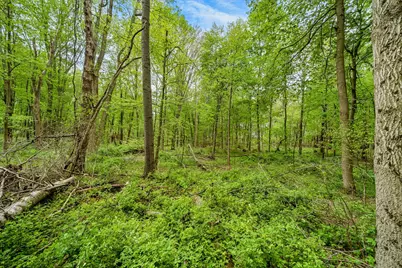 18731 Williamsville Street, Cassopolis, MI 49031 - Photo 31