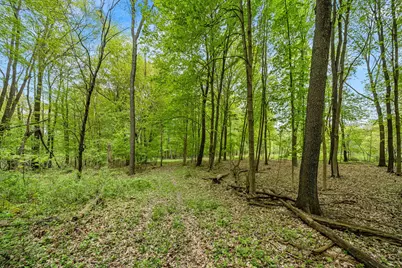 18731 Williamsville Street, Cassopolis, MI 49031 - Photo 9
