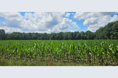 2335 N 33rd Street, Galesburg, MI 49053 - Photo 9