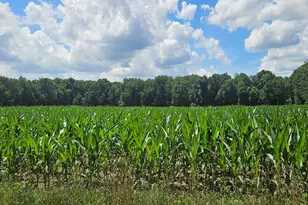 2335 N 33rd St, Galesburg, MI 49053 - Photo 9