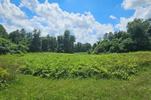2335 N 33rd St, Galesburg, MI 49053 - Photo 9