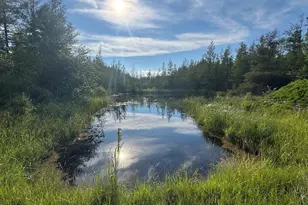 Vl Knute Rd, East Tawas, MI 48730 - Photo 27